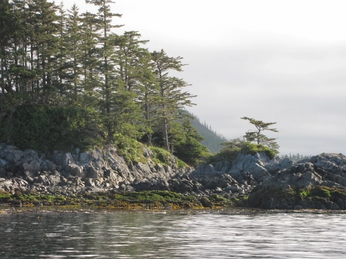 calma-sailing-1c-sailing-courses-cortes-island