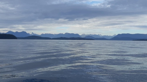 calma-sailing-1c-sailing-courses-in_desolation-sound