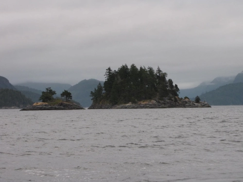 calma-sailing-2c-sail-canada-courses-british-columbia