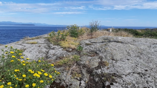 calma-sailing-2c-sail-canada-courses-vancouver-BC