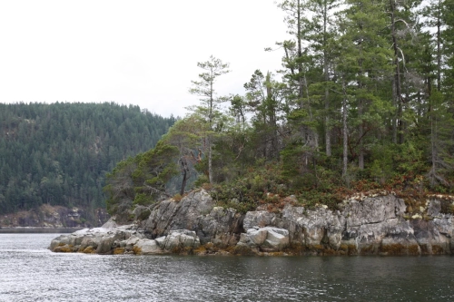 calma-sailing-2c-sailing-lessons-cortes-island