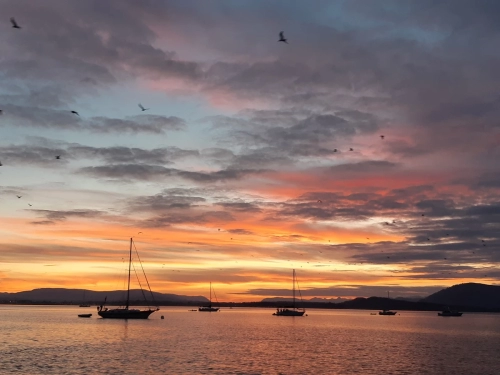 calma-sailing-2c-start-keelboat-sailing-BC