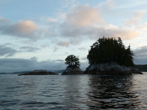 calma-sailing-2t-sailing-adventures-desolation-sound