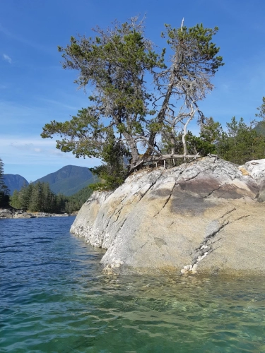 calma-sailing-2t-sailing-prideaux-haven