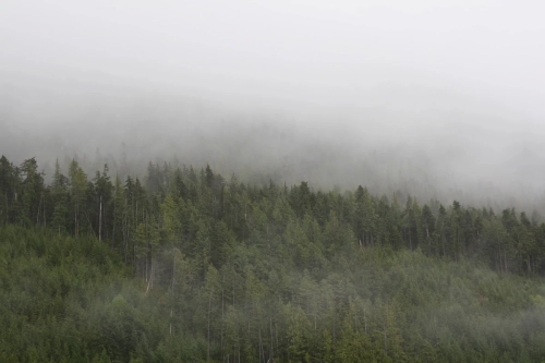 calma-sailing-5t-2-sailing-courses-cortes-island