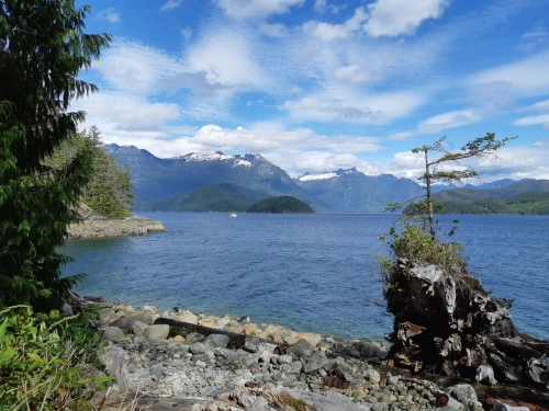 calma-sailing-5t-2-sailing-trips-cortes-island