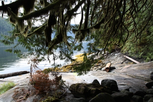 calma-sailing-5t-4-explore-british-columbia-coast