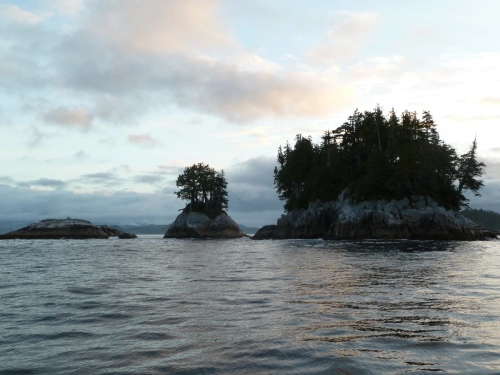 calma-sailing-5t-5-islands-in-desolation-sound