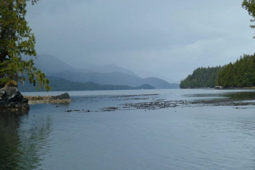 calma-sailing-5t-5-sailing-adventures-cortes-island