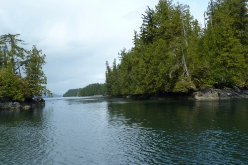 calma-sailing-5t-5-sailing-tours-desolation-sound