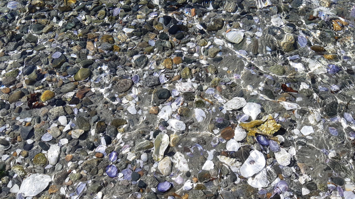 calma-sailing-1t-BC-beaches