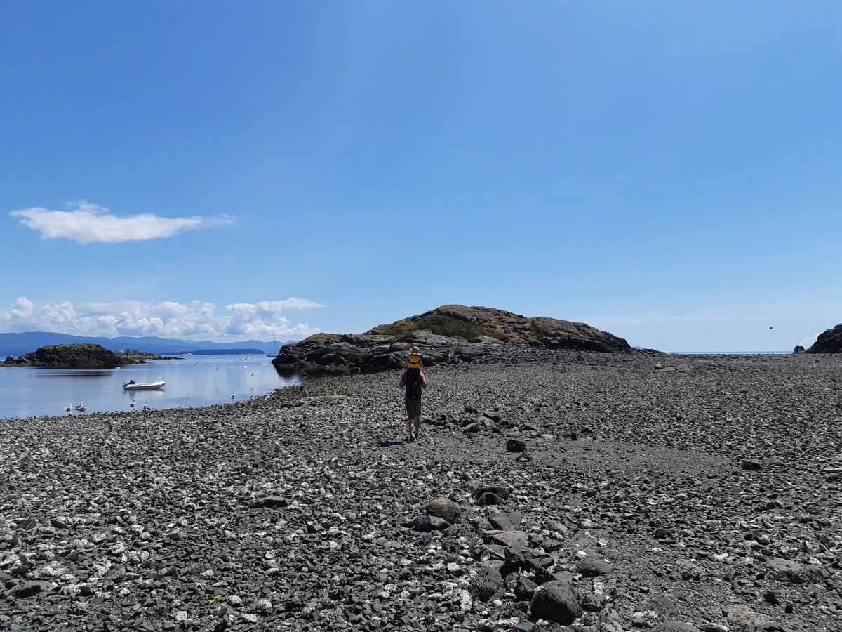 calma-sailing-1t-Mitlenatch-Island