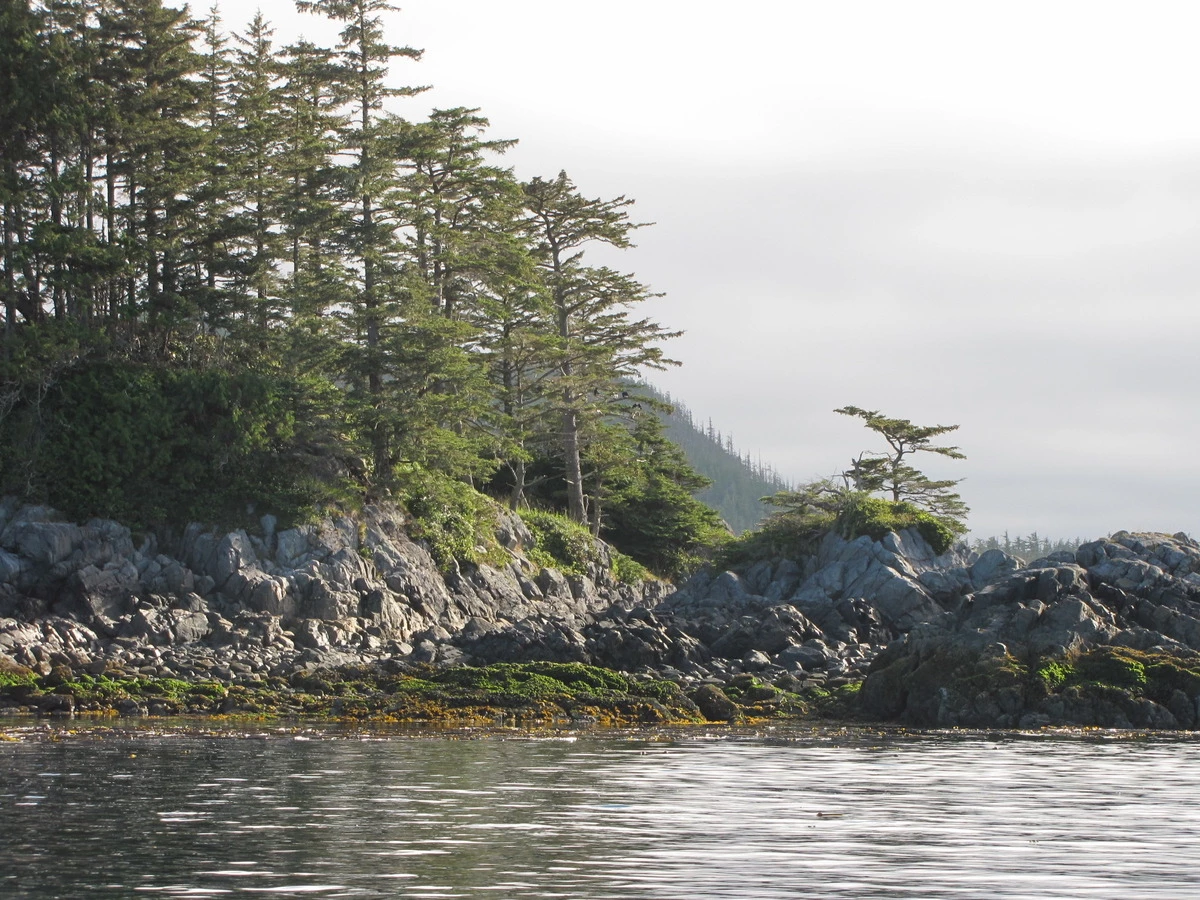 calma-sailing-1t-Prideaux-Haven-sailing