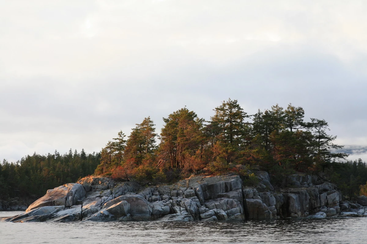 calma-sailing-1t-islands-British-Columbia