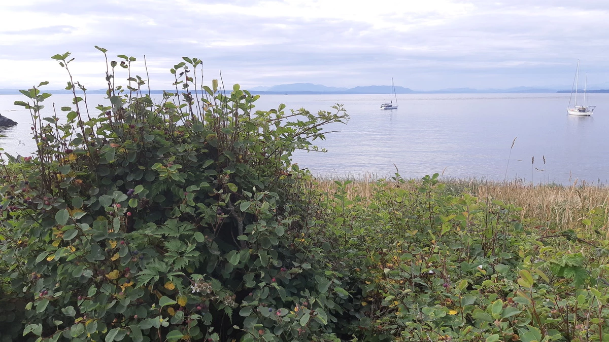 calma-sailing-1t-sailing-tour