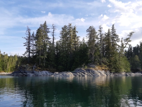 calma-sailing-5t-1-sailing-trips-british-columbia